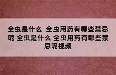 全虫是什么  全虫用药有哪些禁忌呢 全虫是什么 全虫用药有哪些禁忌呢视频